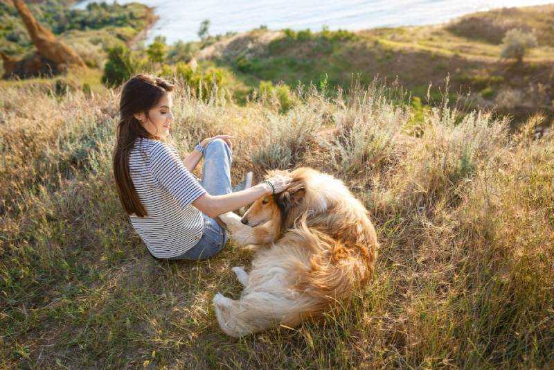 8 วิธีคลายเครียดง่ายๆได้ผลไว 4 raise dog for stress relief