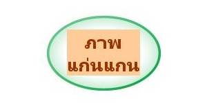 วิธีการทํามายแมพหรือมายแมพปิ้ง 1 how to make mind map pic1 1